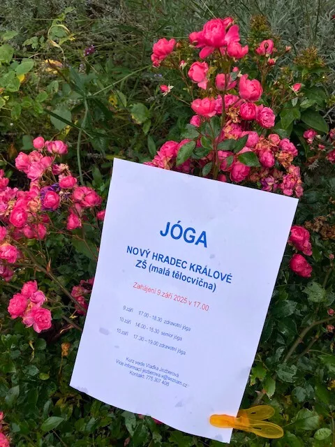 design-sem-nome-1-68f954c143587